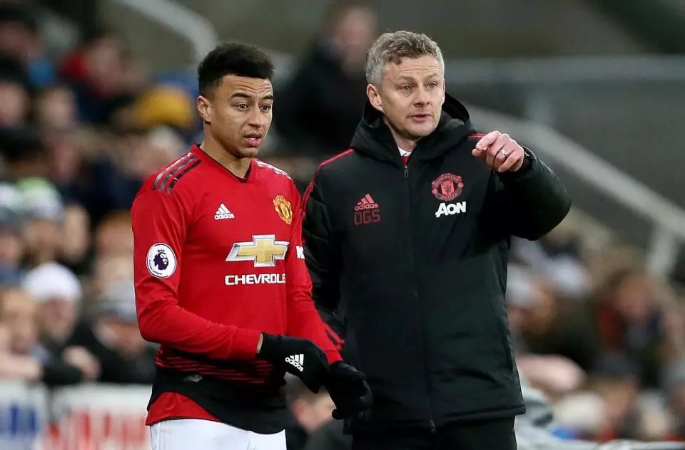 网球不仅仅 网球不仅仅